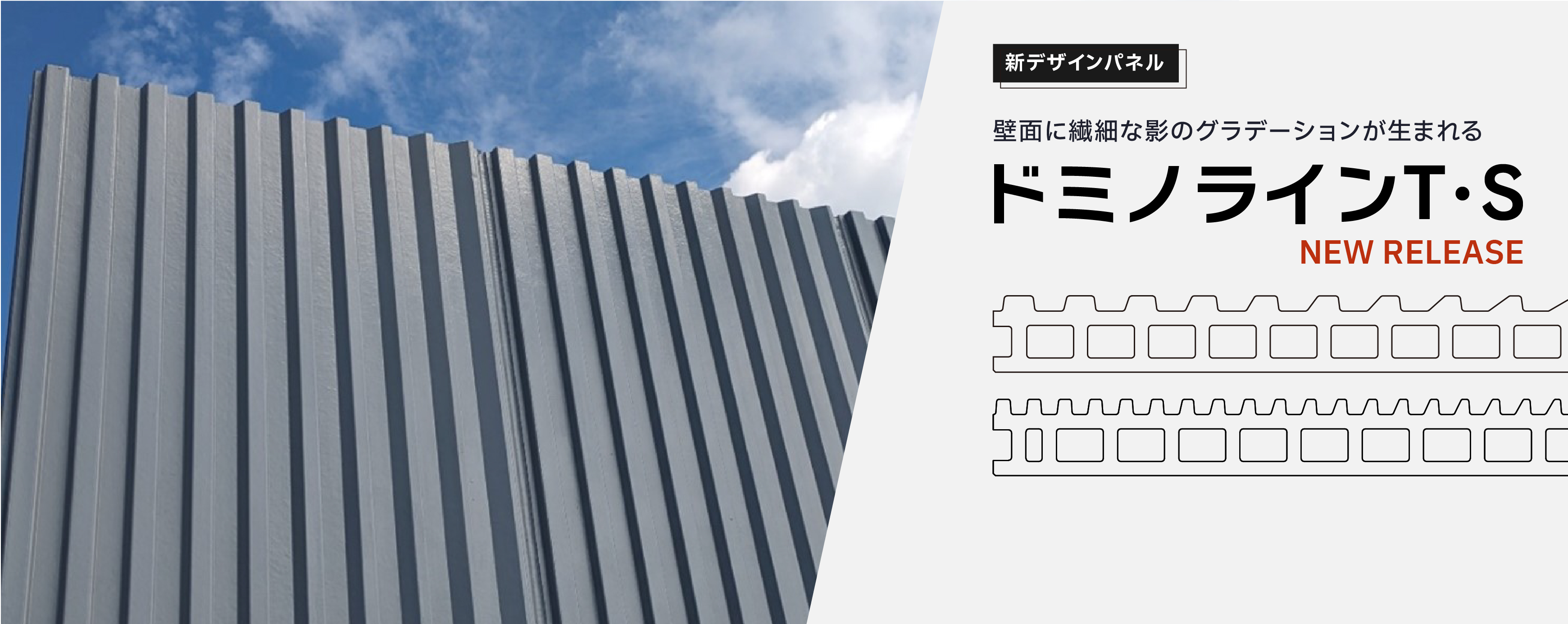 ドミノラインT・S