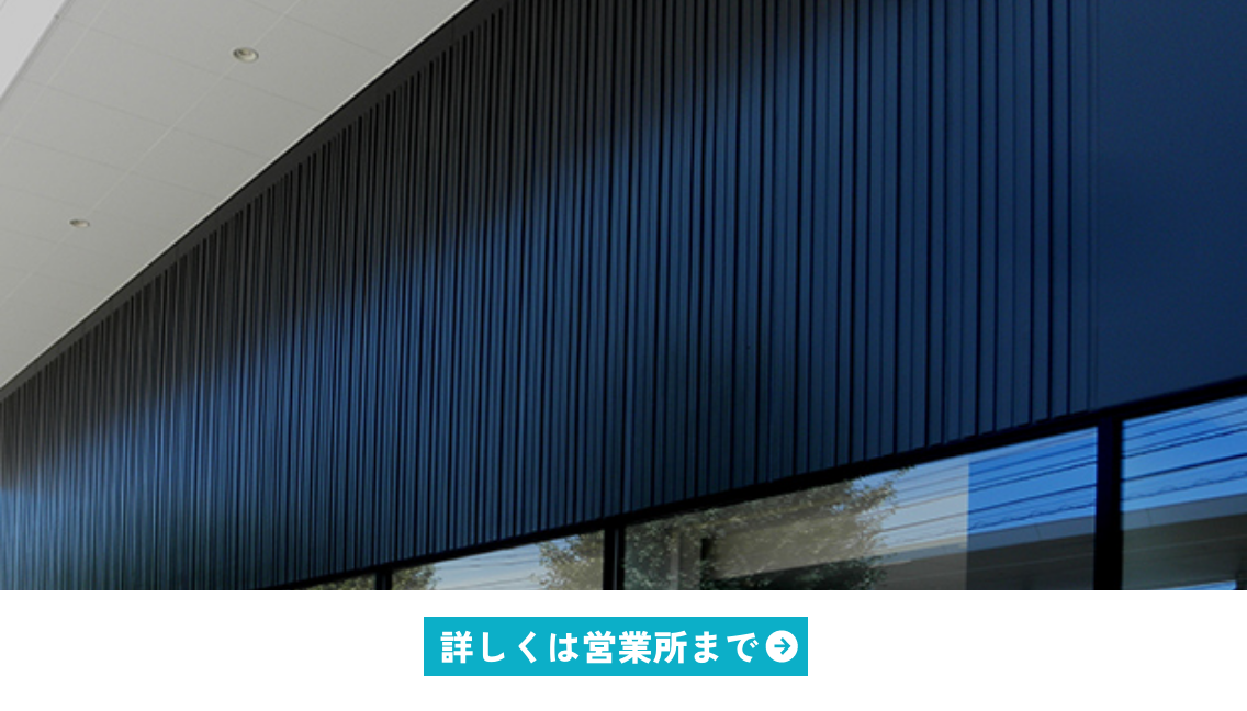ランダムライン900イメージ
