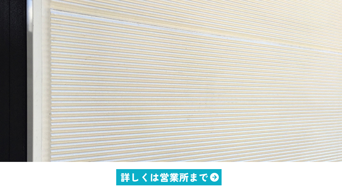 レフスカイミニイメージ