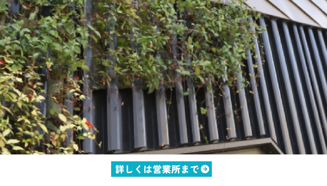ソレイユラインイメージ