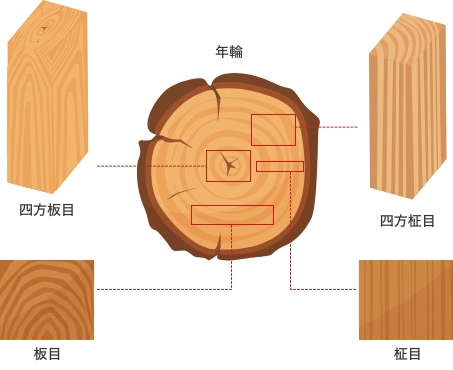 ウッドデザインシリーズ  木目についての豆知識